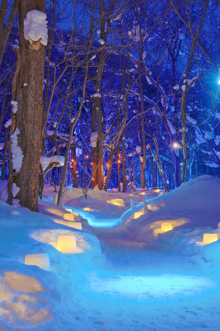 画像：定山渓　祈りの森